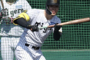 佐藤輝明、実戦打撃練習でまさかのバント練習wwwwwwwwwwww
