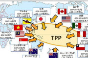 【超絶凶報】韓国がTPP参加を検討　文大統領が初めて言及「参加も検討していく」