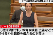 【悲報】ハンガリーのLGBT新法がヤバすぎる・・・