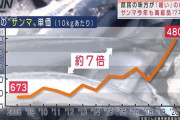 【悲報】さんまの価格、13年前の7倍