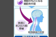 【速報】脊髄損傷で完全マヒした患者に『IPS細胞』を移植した結果