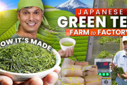 海外「こんなにいろんなプロセスが！」日本茶の生産現場に密着したミニドキュメンタリー