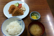 【画像】このハムカツ定食、いくらなら納得する？