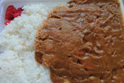 【画像】こういうのでいいんだよカレー弁当