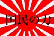 韓国人「日本は静かに毒キノコの様に韓国社会のあちこちに根付いている」国の力党の背後には日本がいます　韓国の反応