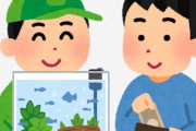 アクア民A「大型水槽はネットと実店舗どっちで買うべき？」　アクア民B「いやいや・・それは流石にショップで買ったれや・・」　その理由がこちらｗｗｗｗｗｗ