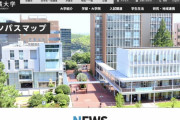 【悲報】謎の大学の広告「ワイ大のホームページは見やすいンゴ」