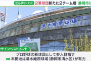 「静岡を本拠地にプロ野球参入を目指す」ハヤテグループが正式に表明