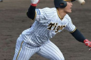 阪神の将来の４番候補、Ｄ４位・前川の強烈スイングに同僚も驚愕