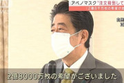 【送料は税金】安倍晋三「アベノマスクの配布に2.8億枚の希望があったぞ(ﾄﾞﾔｧ」「もっと早くやっておけばよかったわwww」