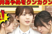 【菅原咲月・筒井あやめ・冨里奈央】あやめんの体臭をクンカクンカ/文字起こし（乃木坂46・猫舌showroom）