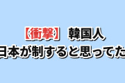 【衝撃】韓国人「昔は絶対に日本が制すると思っていた技術」