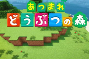 あつ森とマインクラフト、今始めるならどっちがいい？