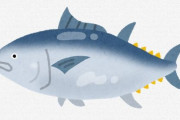 世界的に魚介類の需要が高まり価格の急騰　近い将来、魚がぜいたく品になるかもしれない