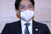 小泉環境相、ビジネス客往来継続に理解「全体見ての判断」