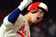 大谷「あーあ壊れちゃった」←壊れてそうなもの