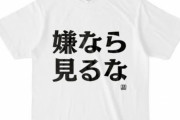 「嫌なら見るな」と「じゃあお前がやってみろ」の２つって論破できなくね？