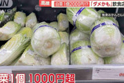 白菜“1個2000円”！？SNSで「もうダメかも」…キャベツも高騰　農家「出荷できない」