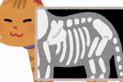 【画像】猫のレントゲン、可愛すぎwwww