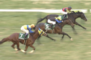 【競馬】ブラックスピネルとエアスピネル
