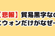 【悲報】韓国人「過去最大の貿易黒字なのに、ウォンだけがなぜ…」