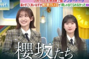 【櫻坂46】ペテン師集団 櫻坂たち【夜明けのラヴィット！】