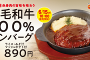 松屋の新メニュー「黒毛和牛100%ハンバーグ定食」がめちゃくちゃ美味そう