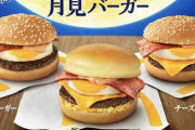 月見バーガーとかいう何故かクソ美味いバーガーw