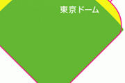 阪神矢野監督「この球場本当に狭いというか、すぐホームランに」