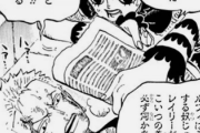 【悲報】ワンピースさん、嫁にしたくなる女キャラがいない