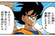 【ドラゴンボール】カカロット「落ちこぼれだって必死に努力すりゃエリートを越えることがあるかもよ」←これｗｗｗｗｗ