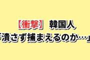 【衝撃】韓国人「日本、ゴキブリを”潰さずに”捕まえる道具を作ってしまう…」