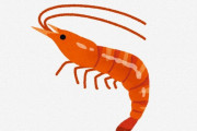 【画像】ガチでセンスあるエビの画像が発見される?