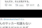 丸山桂里奈｢何となくだけどワールドカップ優勝するような気がする｣ ( ヽ°ん°) ｢素人は黙っとけ！｣