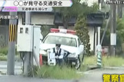 【画像】 交通事故減少に効果抜群らしいやつ