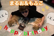 ヒカキンの飼い猫誕生日に便乗する文野環【Vtuber】