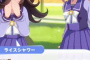 【ウマ娘】アオハルシナリオのライスがメンヘラ過ぎて辛いんだが・・