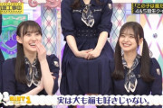 【乃木坂46】ヒント①実は犬も猫も好きじゃない。実況『この子は誰だ？第３問』バラされたうえに違うｗ【乃木坂工事中】