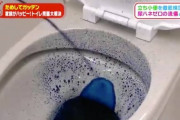 【画像】まんさん使用後のトイレ、異次元レベルで汚い【閲覧注意】