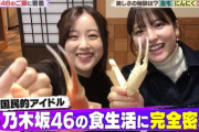 【乃木坂46】未発表だった星野みなみ×早川聖来×向井葉月の『ポスター旅』突如一部動画公開へ！！！！！！