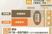 自民党　国民民主党案の減税をやりたくなくて凄い事を言い出すｗｗｗｗｗｗｗ