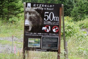 【羅臼】走って下山中ヒグマに遭遇、子を守ろうと攻撃か、人を攻撃したことがない穏やかな熊だった