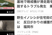 【悲報】フジテレビさん、イノシシの捕獲作戦を反日認定してしまうｗｗｗｗｗｗｗｗｗｗｗ