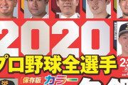 プロ野球選手名鑑が発売されとるけどみんなどれ買う？