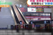 中国製ワクチンがちっとも効かないことも判明した。　吉林省梨樹県のトウモロコシ危機、農民が農地へ行けない。農作物激減、上海都市封鎖は猛烈な物価高！