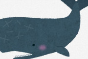 【がん】細胞をたくさん持つクジラが「がん」にならない理由を解明 人間の治療にも役立つ発見