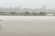 【悲報】今日の名古屋競馬、大雨で中止