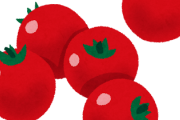 【悲報】トマトという過小評価されまくりな野菜ｗｗｗｗ