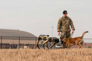 米空軍のロボット警備犬「ビジョン60」、現場での実証試験を開始…見回り、爆弾捜索、視力良い、安い！