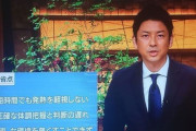 テレ朝　富川悠太アナ『報ステ』での“公開処刑”謝罪と「感染＝犯罪」助長の不安視《なんか罪人みたい＞＜なんで謝るの?》  [6/5]